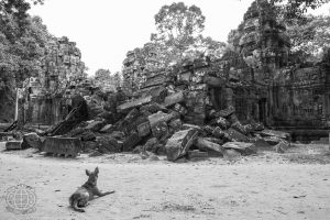 Angkor-23