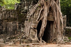 Angkor-25