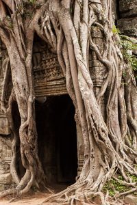 Angkor-26