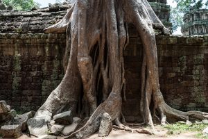 Angkor-38