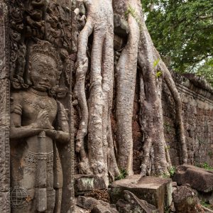 Angkor-9